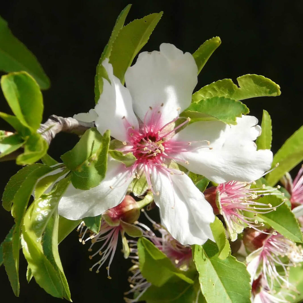 {"loading" => "lazy", "sizes" => nil, "widths" => "165, 360, 535, 750, 1070, 1500"}