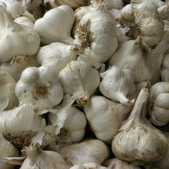 Garlic, Granules (Allium sativum)