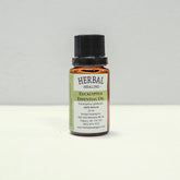 Eucalyptus (Eucalyptus globulus) Essential Oil