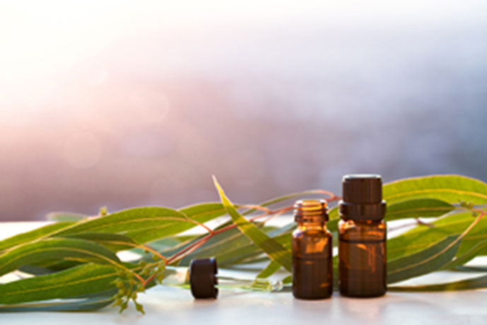 Eucalyptus aromatherapy essential oils in bottles