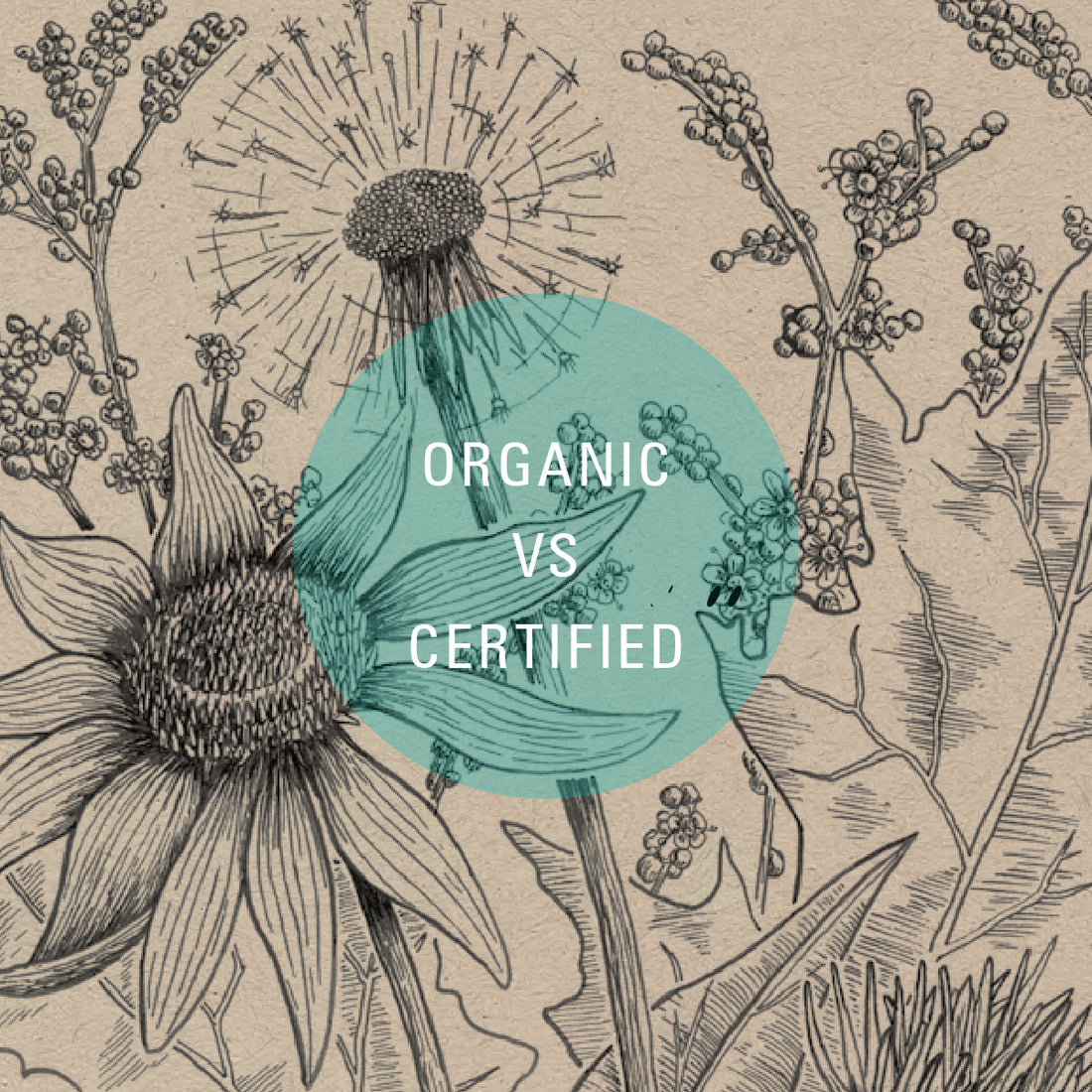 Organic vs certified