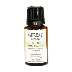 Tea Tree (Melaleuca alternifolia) Essential Oil
