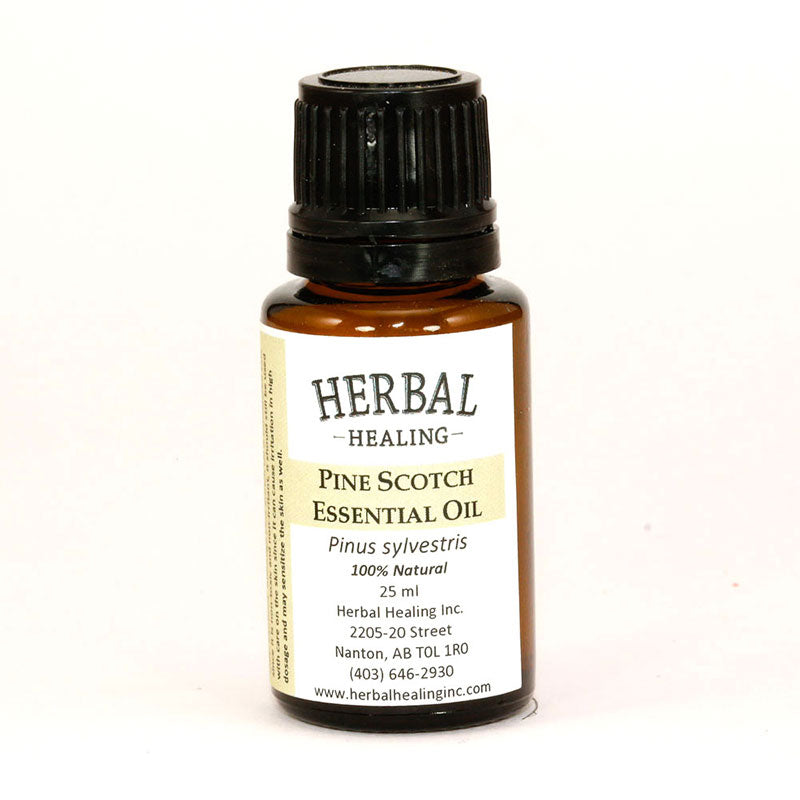 Pine Scotch (Pinus sylvestris) Essential Oil