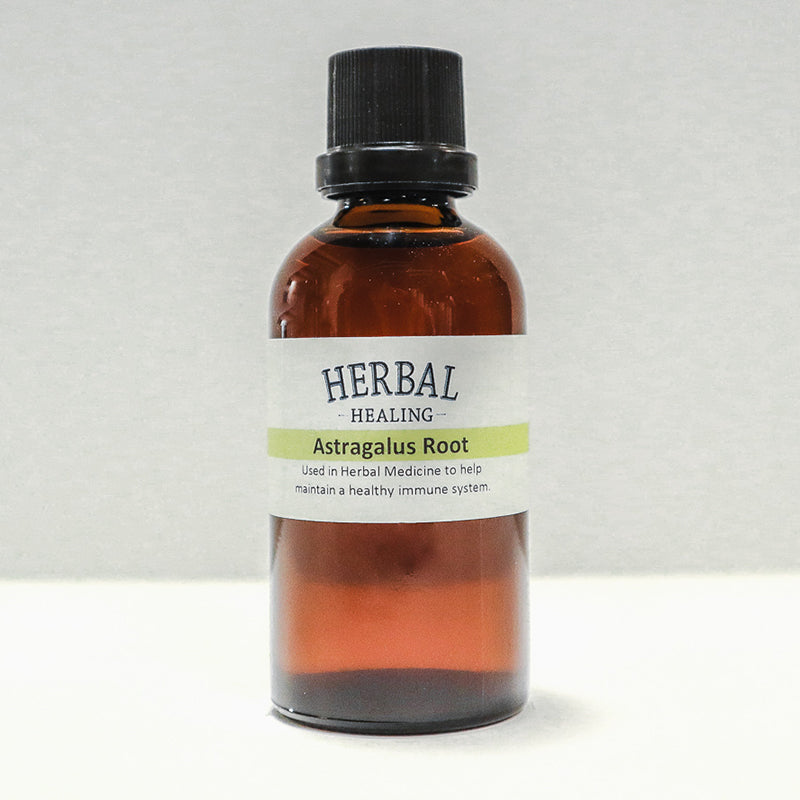 Herbal Healing Inc. Astragalus Root Tincture - 50 ml
